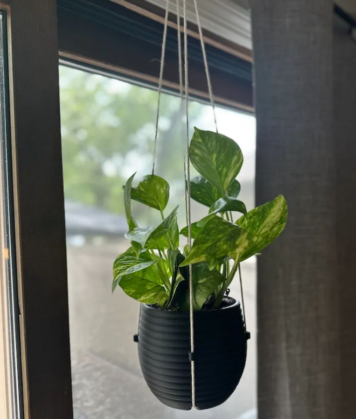 CieloVerde – Hanging Planter
